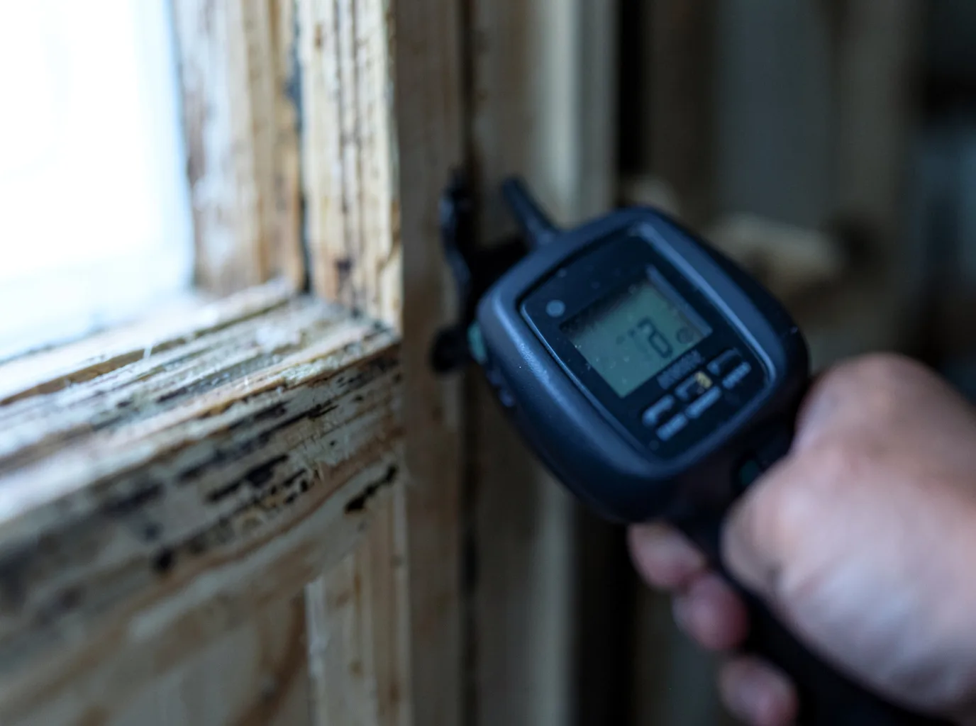 Moisture Inspection And Documentation in Roundhill, KY